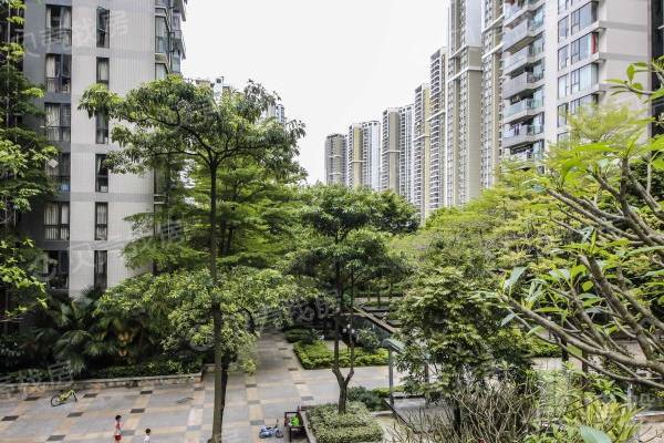 金地香密山|香蜜湖半山物業|視野好|戶型方正|有壹層露臺