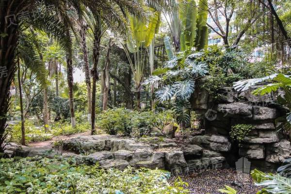 翠海花園|大平面|雙陽臺|東南向看花園|視野景觀好