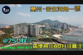 合生海角一号_惠州|首期3万(减)|@750蚊呎|香港高铁60分钟直达|香港银行按揭(实景航拍)