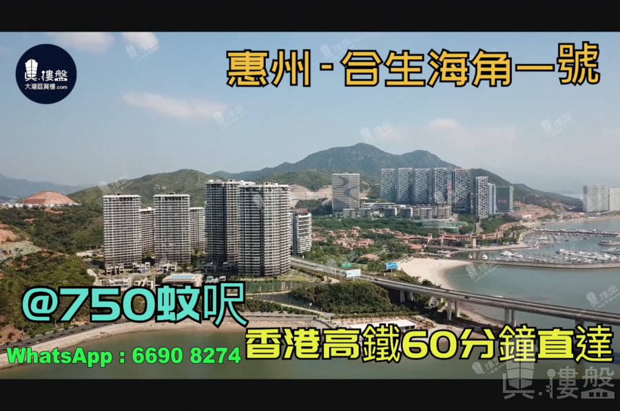 合生海角一號_惠州|首期3萬(減)|@750蚊呎|香港高鐵60分鐘直達|香港銀行按揭(實景航拍)